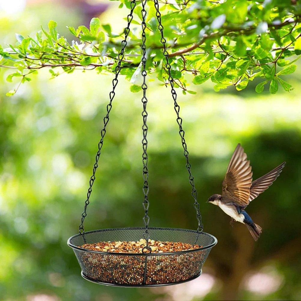 Hanging bird feeder