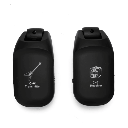 [NEW] CFG C-01 Swivel Wireless System