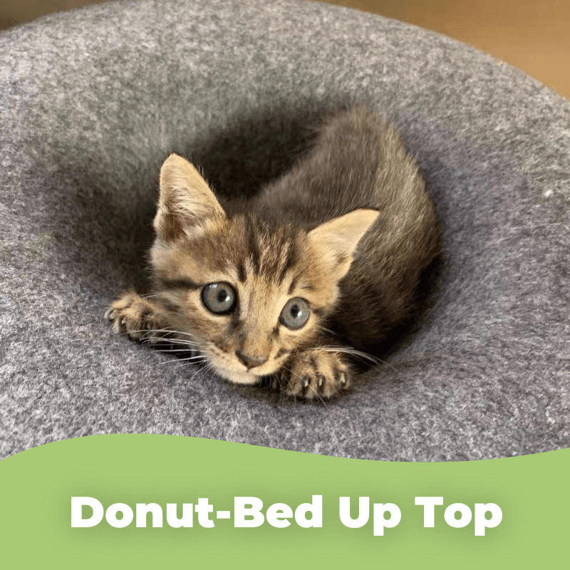 The ‘Peek-a-boo’ Cat Cave with bell, interactive toys, crushing claws, climbing frame, cat toys