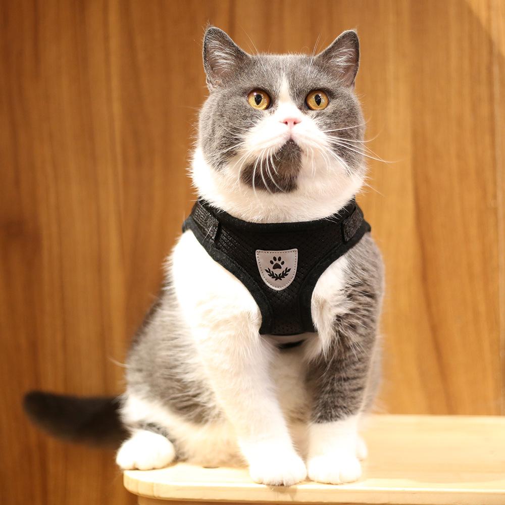 Bitepets – Adjustable Breathable Pet Harness