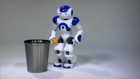 Educational  Intelligent Robot
