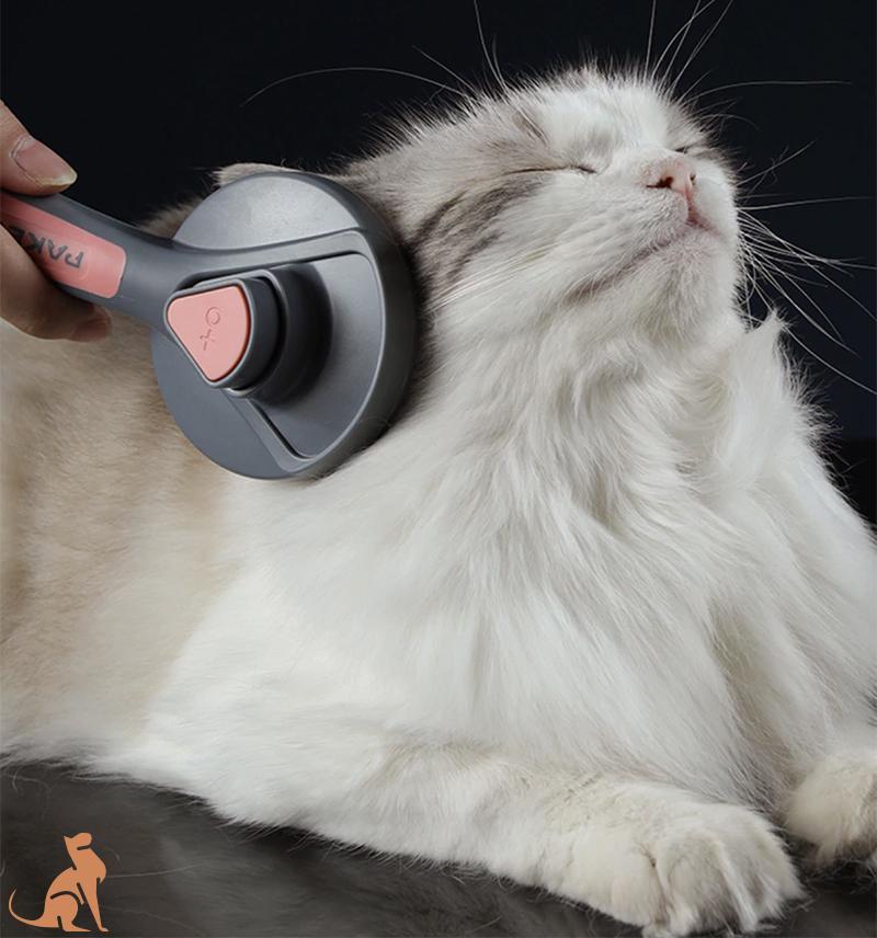 Self-cleaning brush for cats