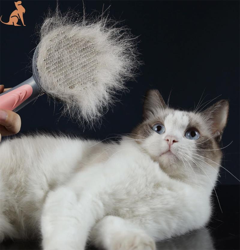 Self-cleaning brush for cats