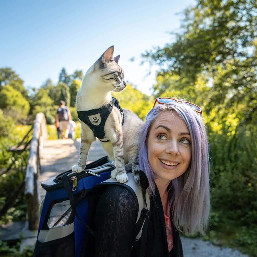 Bitepets – Adjustable Breathable Pet Harness