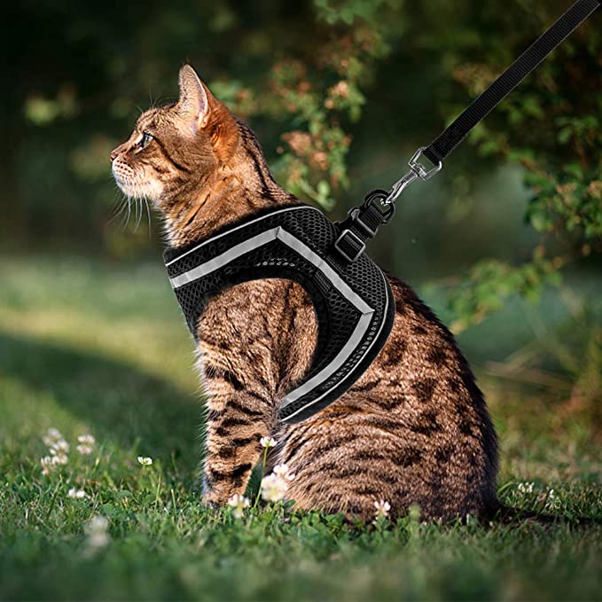Bitepets – Adjustable Breathable Pet Harness