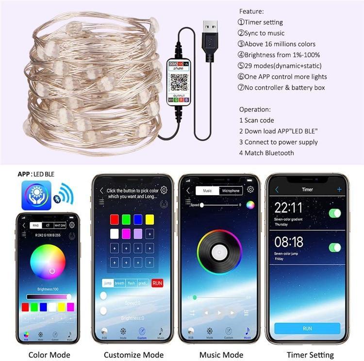 Programmable Christmas Smart Light