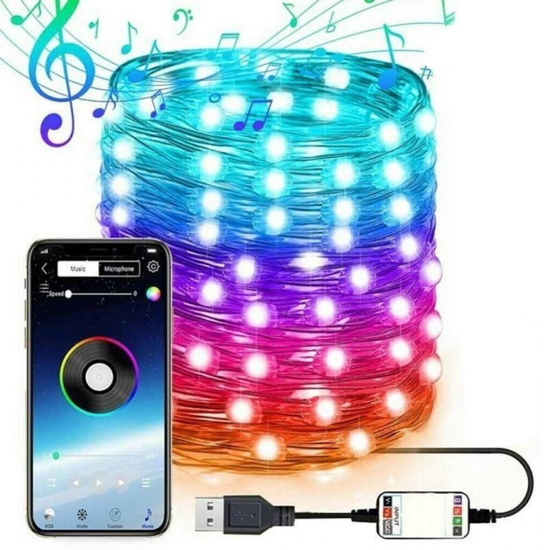 Programmable Christmas Smart Light