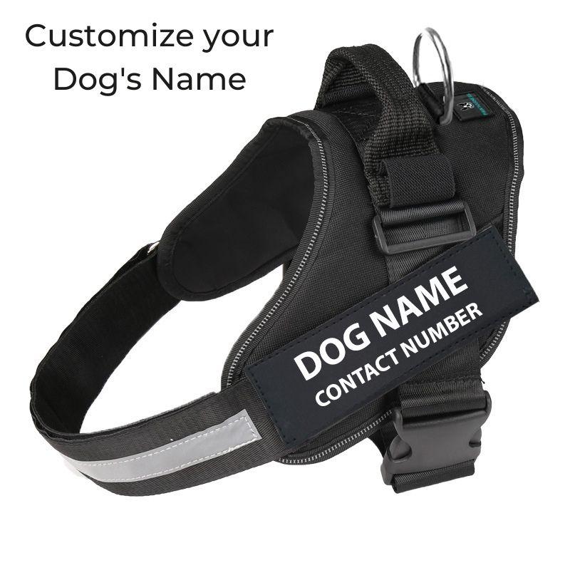 No-Pull Paw Harness