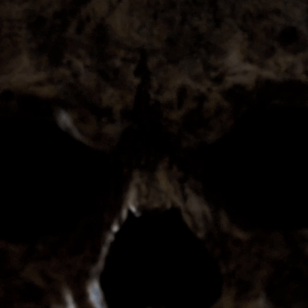 Skull Mask For Halloween