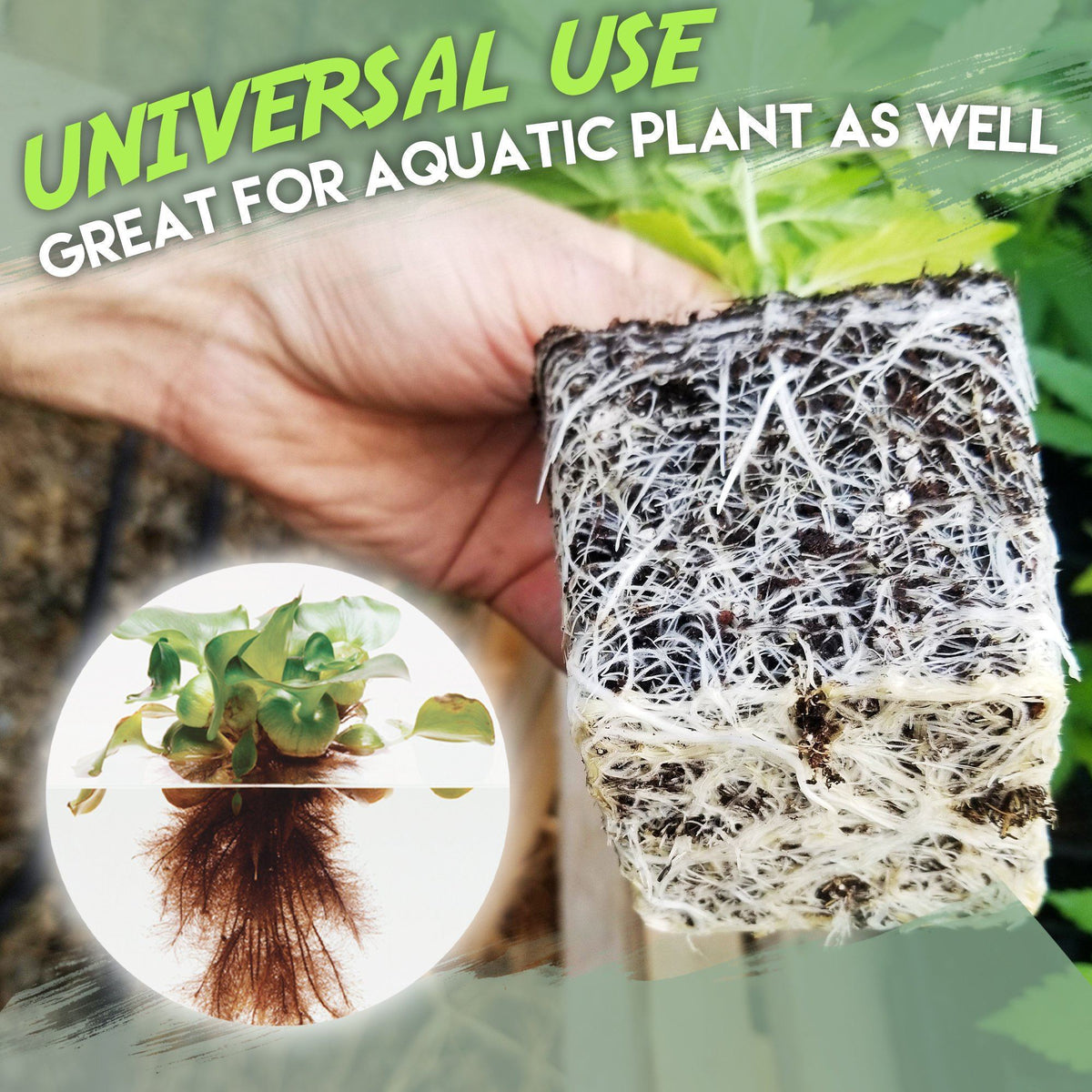 Rapid Rooting Powder