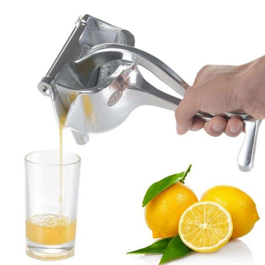 Stainless Steel Fruit Juicer