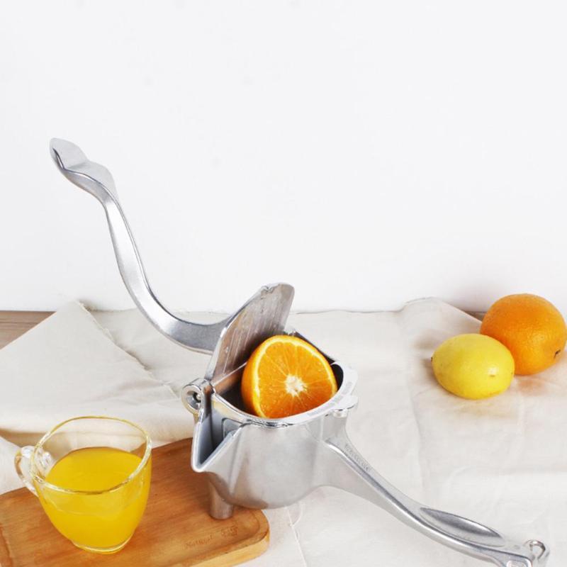 Stainless Steel Fruit Juicer