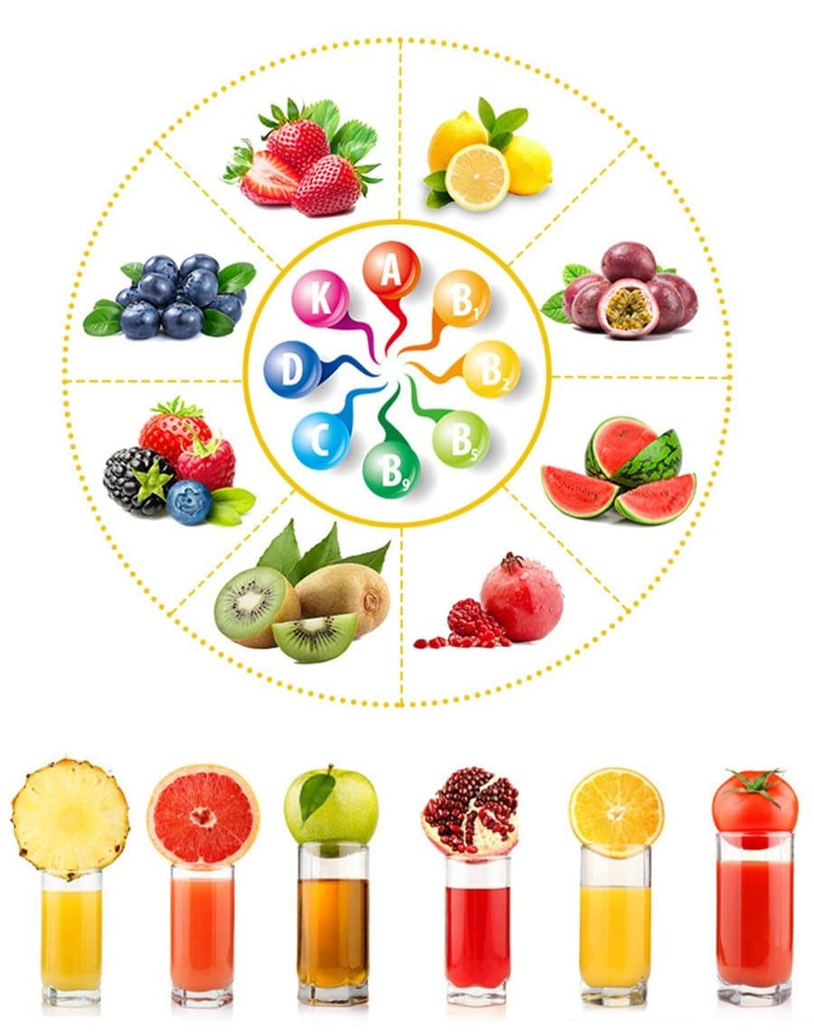Stainless Steel Fruit Juicer