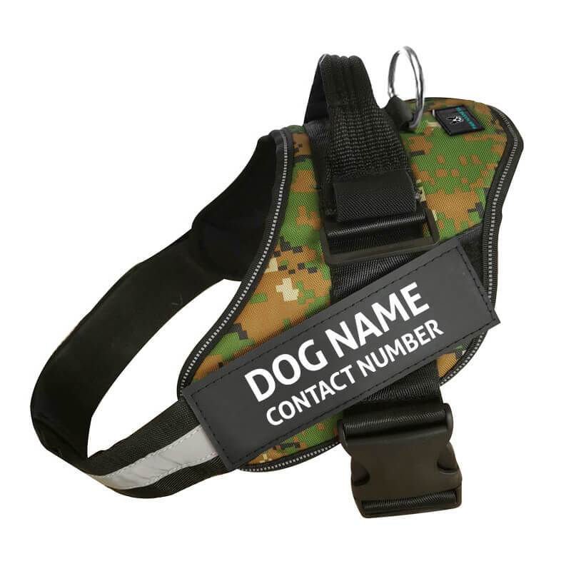 No-Pull Paw Harness