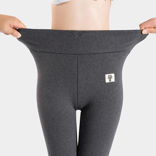 Thick Warm Leggings
