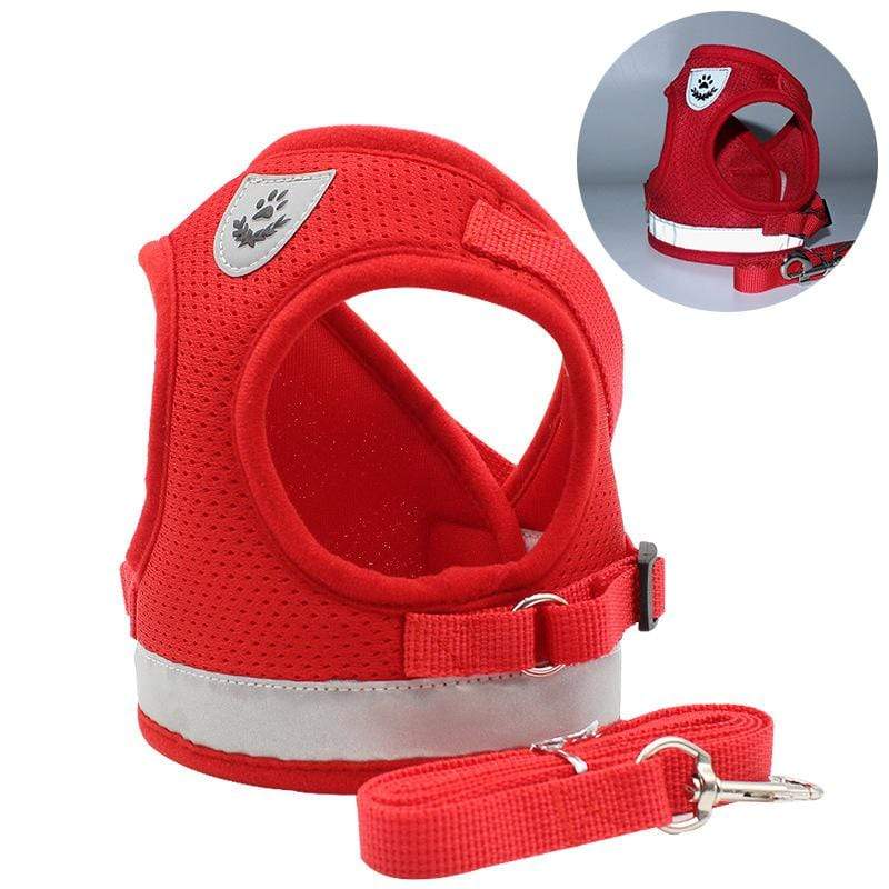 Bitepets – Adjustable Breathable Pet Harness