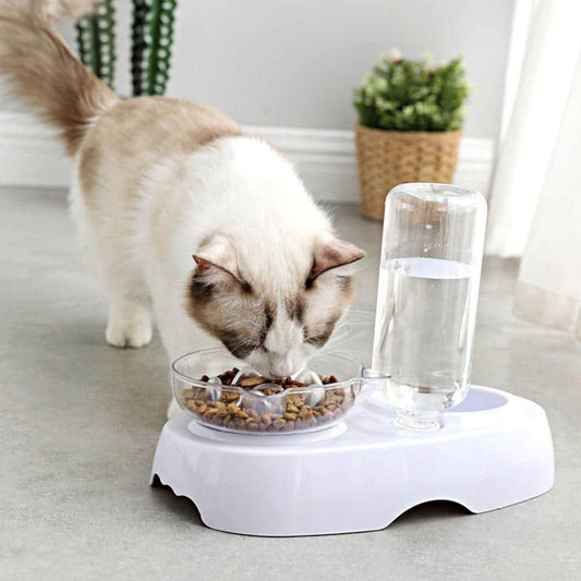 Anti-Vomiting Elevated Cat Bowl