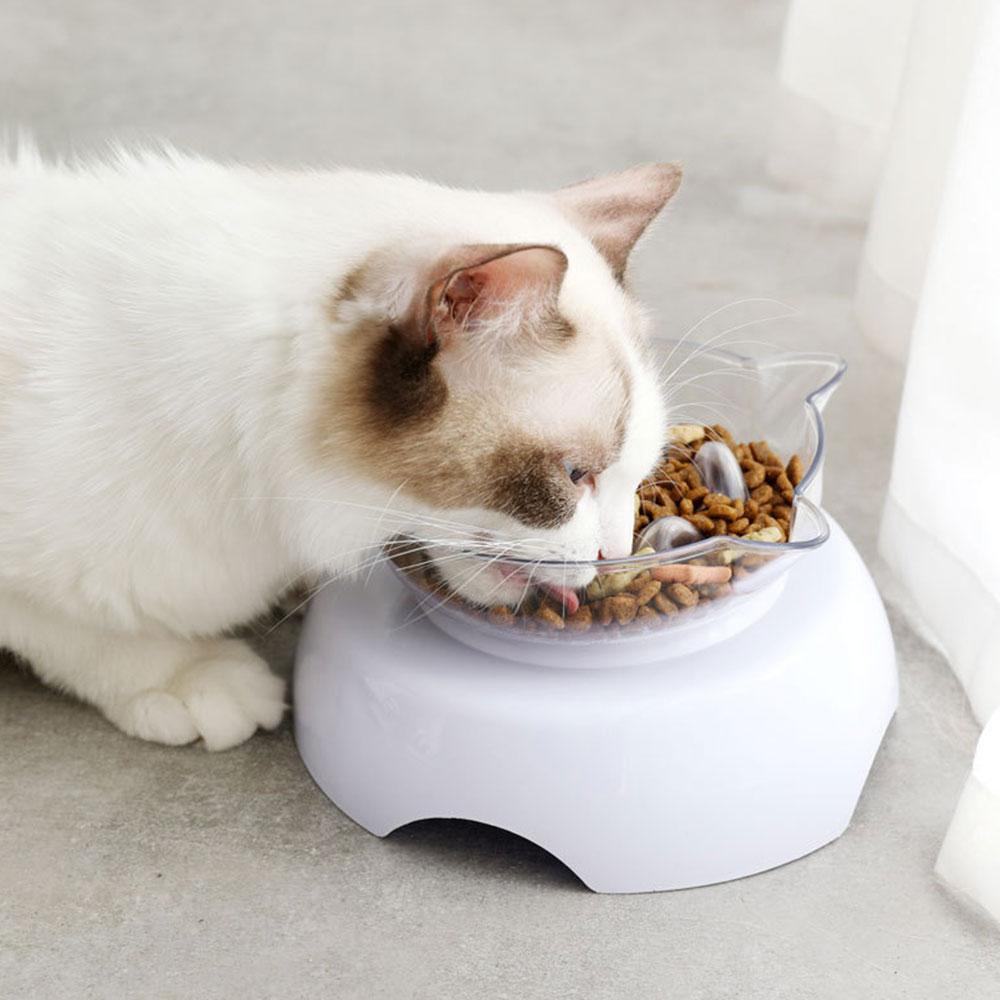 Anti-Vomiting Elevated Cat Bowl