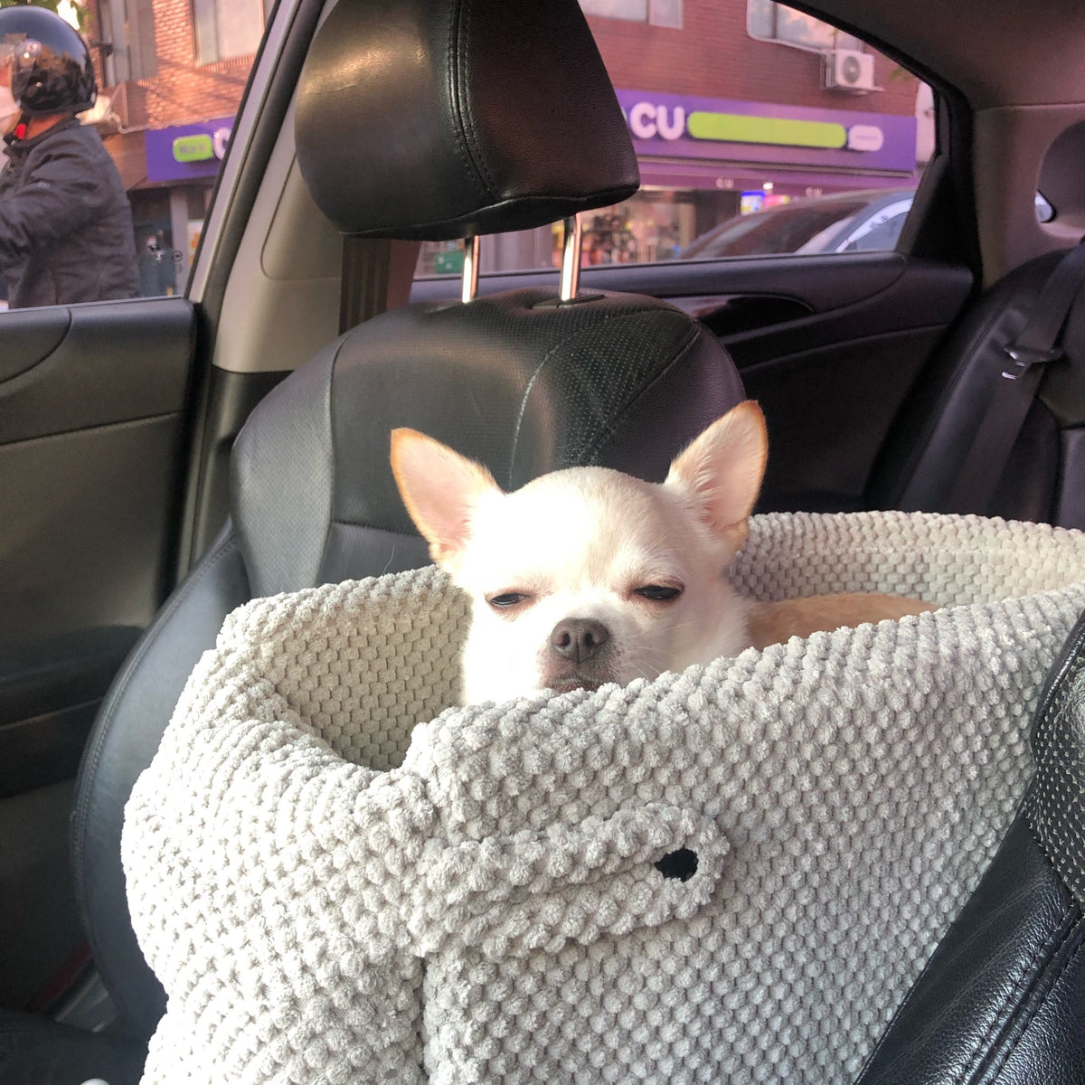 Car Armrest Pet Safety Seat