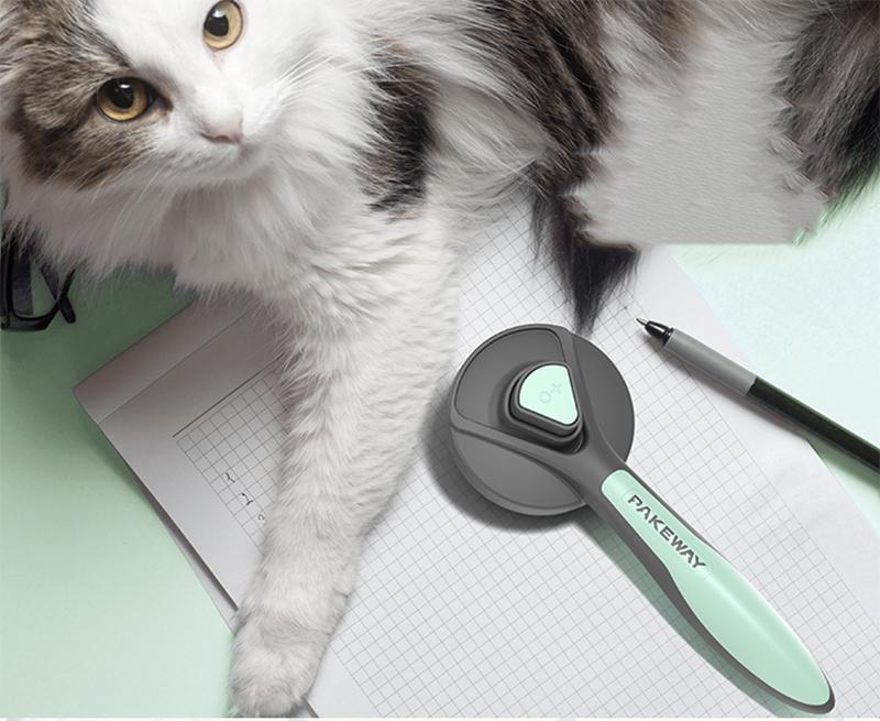 Self-cleaning brush for cats
