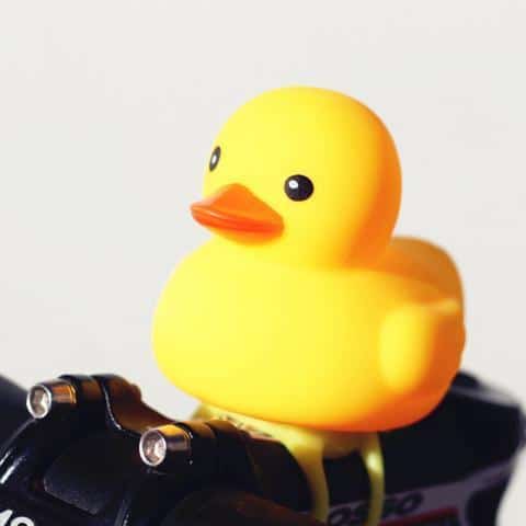 The “Ducky” Light Horn