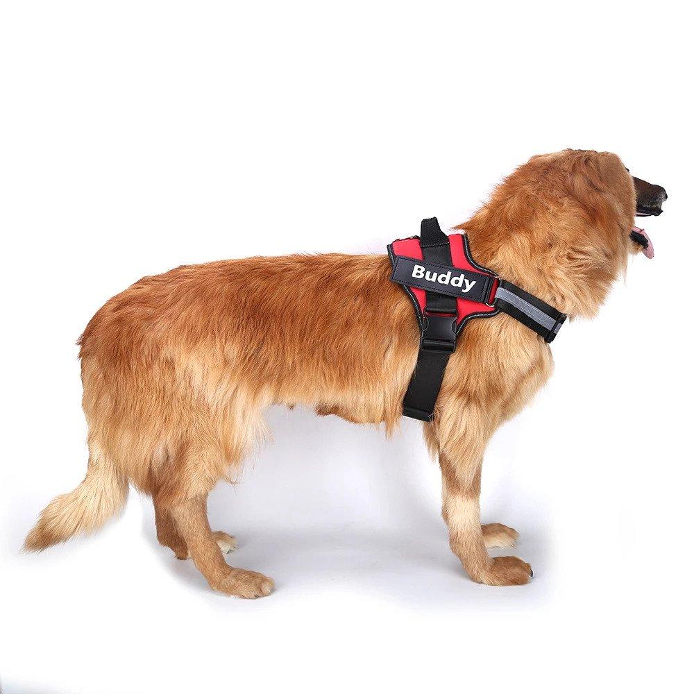 Reflective and customizable dog harness