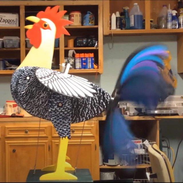Rooster windmill