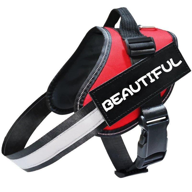 Reflective and customizable dog harness