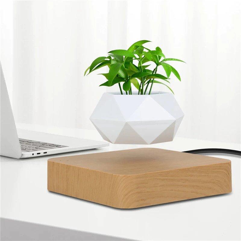 Levitation and magnetic rotation bonsai pot