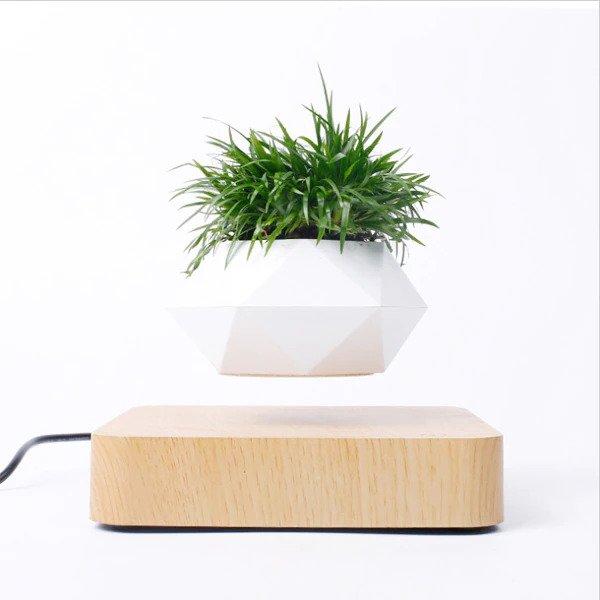 Levitation and magnetic rotation bonsai pot