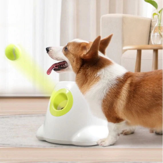 Dog Toy Automatic Tennis Ball Launcher