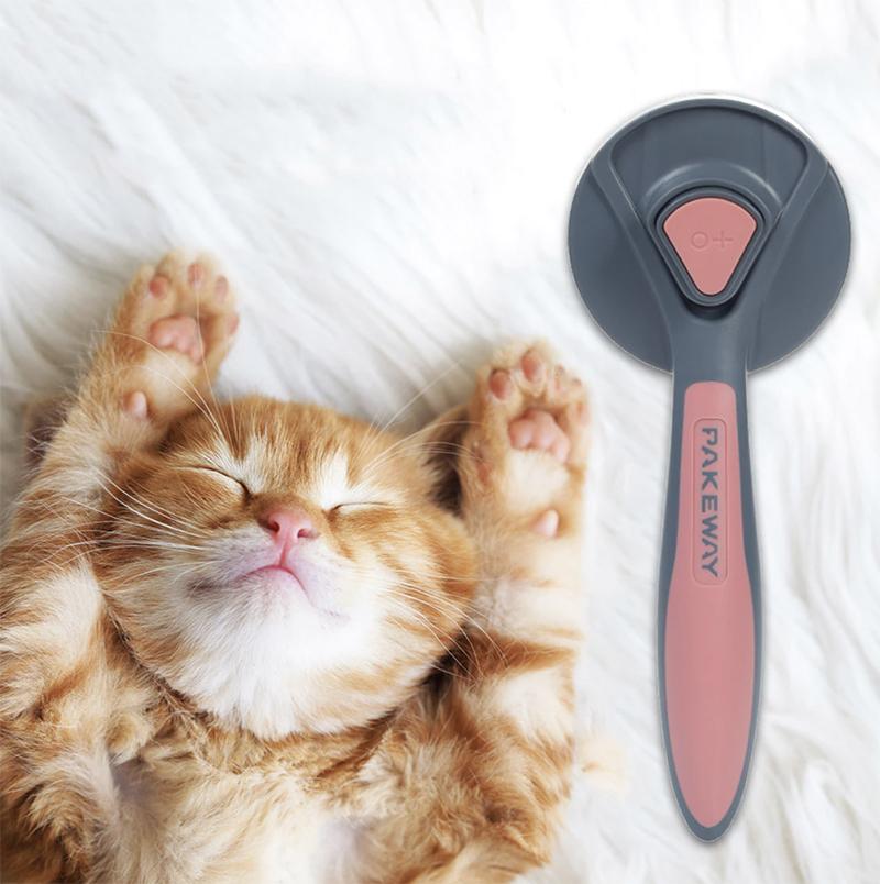 Self-cleaning brush for cats