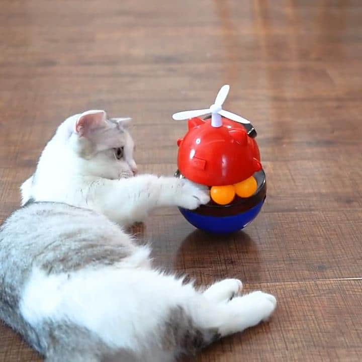 Cat Laser Dropping Food Toys