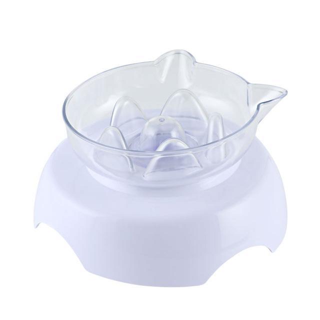 Anti-Vomiting Elevated Cat Bowl