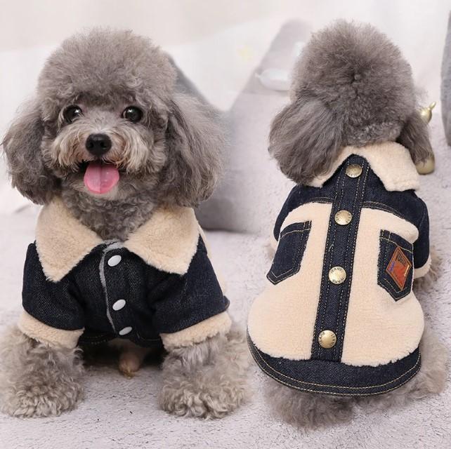 Denim jacket for dog