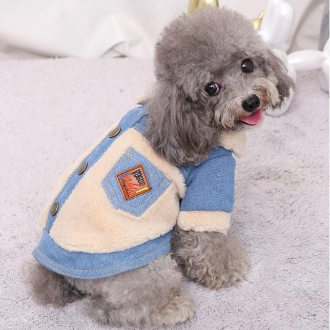Denim jacket for dog